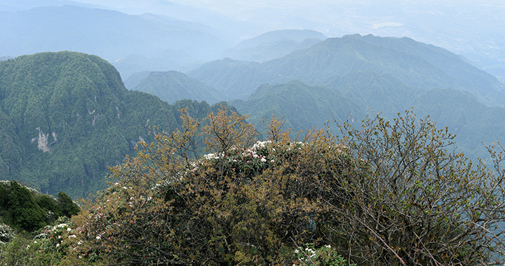 石材圆柱厂家，匠心独运，品质卓越——走进知名石材圆柱厂家（通用2篇）(图2)