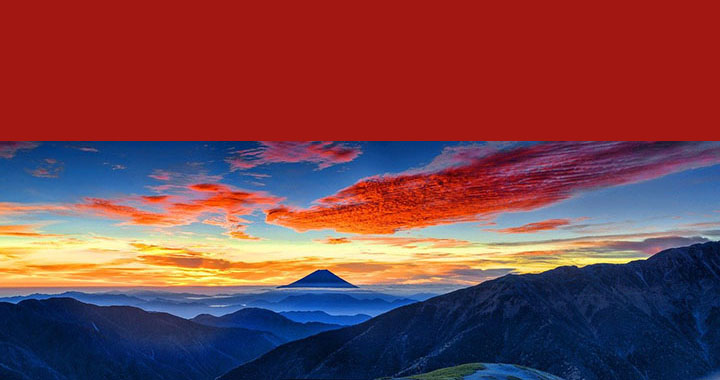 描写动物的优美句子,(通用2篇)(图2)